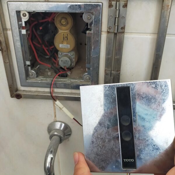 MẮt CẢm Ứng Thay ThẾ TƯƠng ThÍch BỒn TiỂu Âm Toto