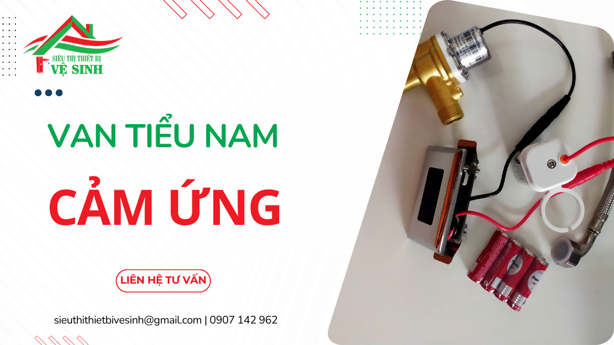 Van Tiểu Nam Cảm Ứng