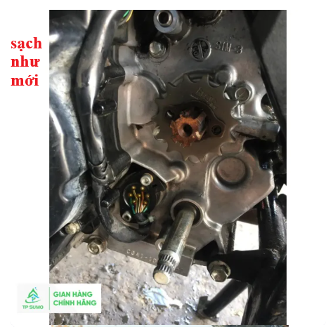 Nước rửa xe bọt tuyết PSG - TP Sumo Can - Image 4